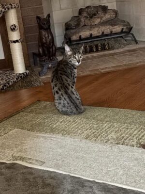 fiji kit small girl 2